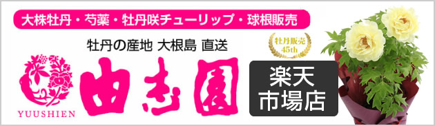 楽天市場 由志園ぼたん通販サイト