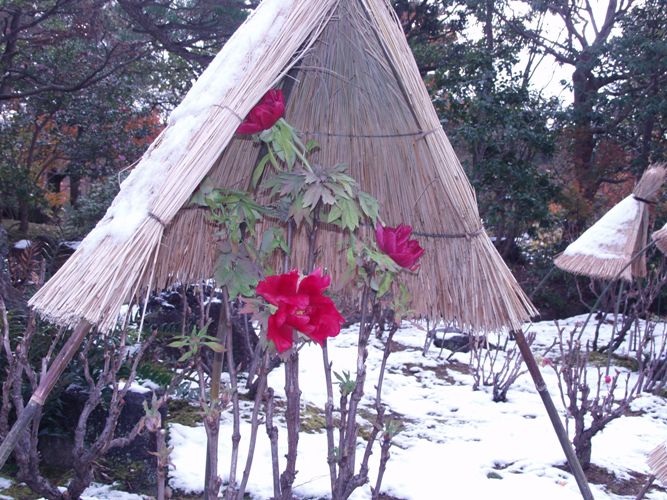 ぼたんです SRIXON 在庫限り スリクソン用OEMスリーブ付シャフト USTマミヤ ATTAS