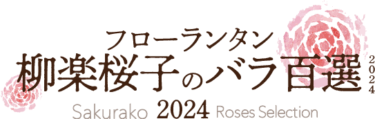 フローランタン柳楽桜子のバラ百選2024