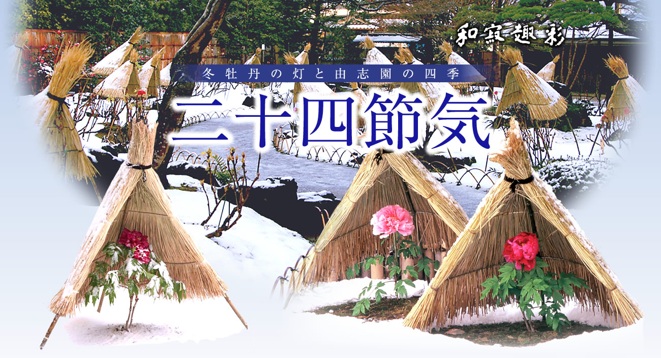 由志園 冬牡丹まつり