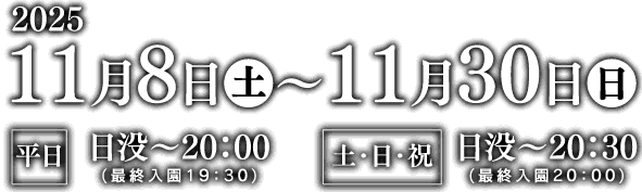 2025年11月8日～11月30日