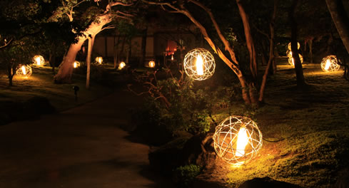 紅葉ライトアップ