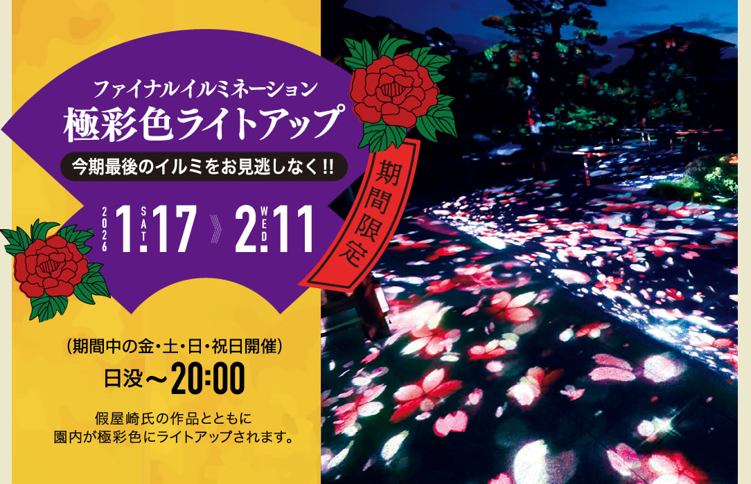極彩色ライトアップ 今期最後のイルミをお見逃しなく!