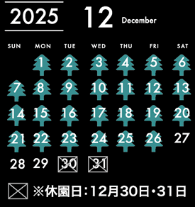 2025年12月
