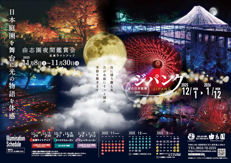 〔プリント用〕 2025-26年 秋冬のライトアップイルミネーション 表面