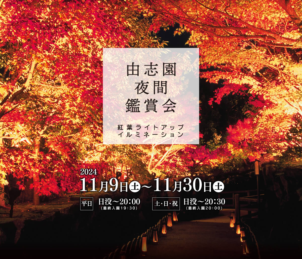 由志園 夜間鑑賞会 紅葉ライトアップイルミネーション