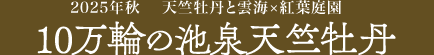 2025年秋 池泉天竺牡丹イベント