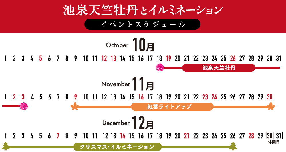 池泉天竺牡丹とイルミネーションイベントスケジュール