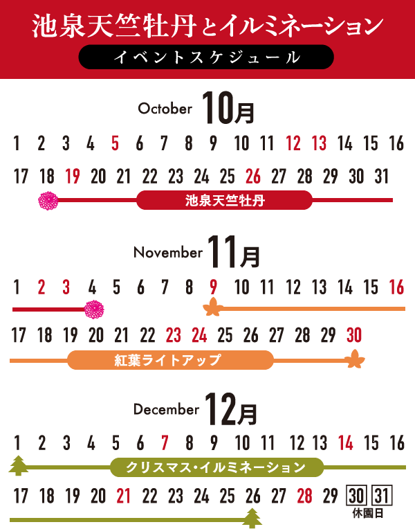 池泉天竺牡丹とイルミネーションイベントスケジュール