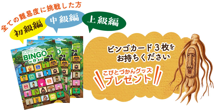 全ての難易度の挑戦された方、こびとづかんグッズプレゼント！！