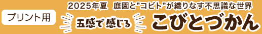2025年夏  庭園と”コビト”が織りなす不思議な世界イベント