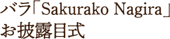 バラ「Sakurako Nagira」お披露目式