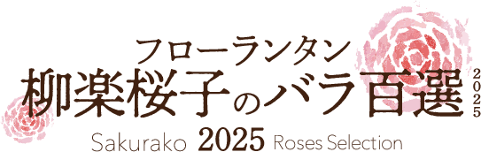 フローランタン柳楽桜子のバラ百選2024