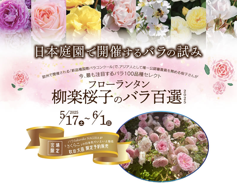 ロココ調レース＆薔薇の大型ジャンクジャーナル2025lp♥マリーの薔薇♥ ロココ調レース＆薔薇の大型ジャンクジャーナル2025lp♥マリーの薔薇♥