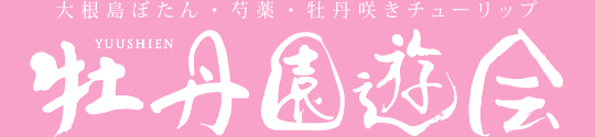 2025春の牡丹園遊会