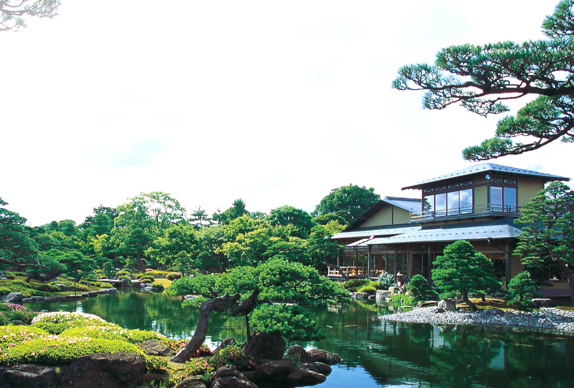 日本庭園 由志園 公式サイト 牡丹と高麗人蔘の里