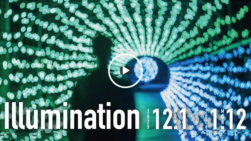 2025由志園イルミネーション　2025.11.26