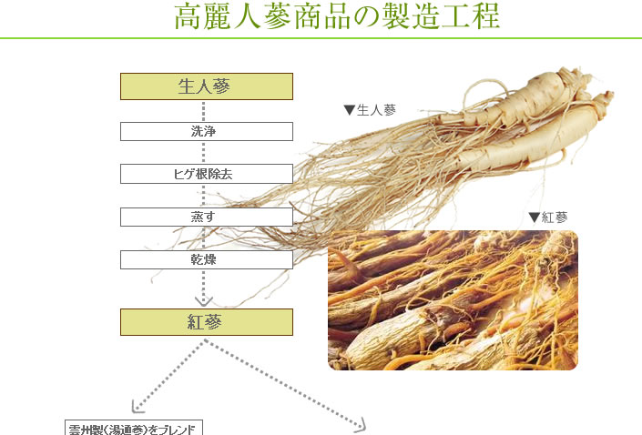 高麗人蔘製品の製造工程