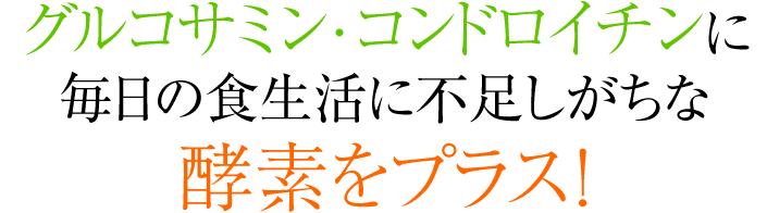 グルコサミン・コンドロイチンに毎日の食生活に不足しがちな酵素をプラス！