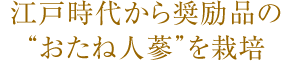 江戸時代から奨励品の“おたね人蔘”を栽培