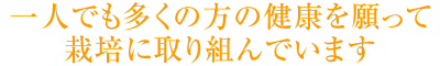 一人でも多くの方の健康を願って栽培に取り組んでいます 